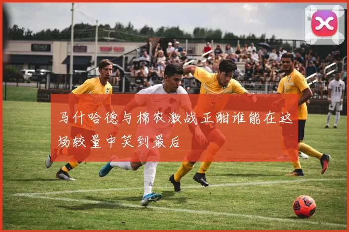 马什哈德与棉农激战正酣谁能在这场较量中笑到最后