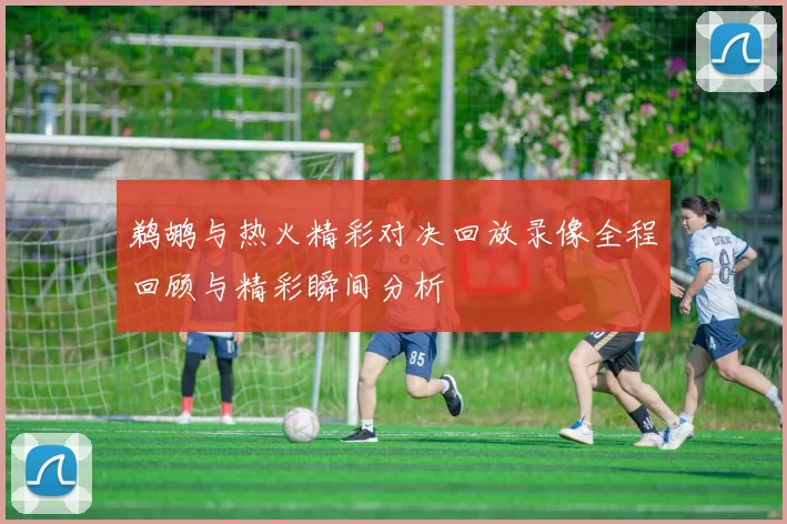 鹈鹕与热火精彩对决回放录像全程回顾与精彩瞬间分析